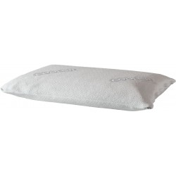 Guanciale Cooler